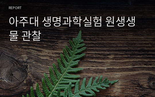 아주대 생명과학실험 원생생물 관찰