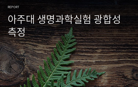 아주대 생명과학실험 광합성 측정