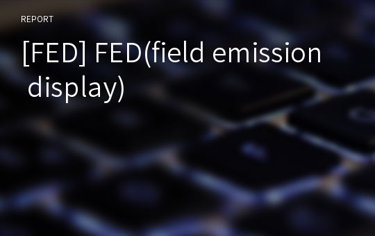 [FED] FED(field emission display)