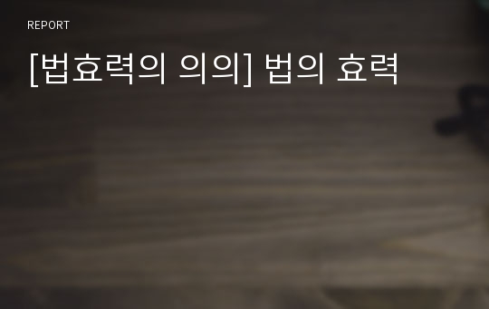 [법효력의 의의] 법의 효력