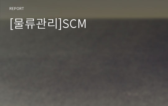 [물류관리]SCM