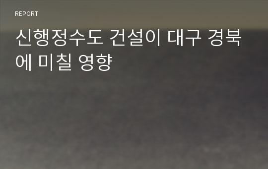 신행정수도 건설이 대구 경북에 미칠 영향