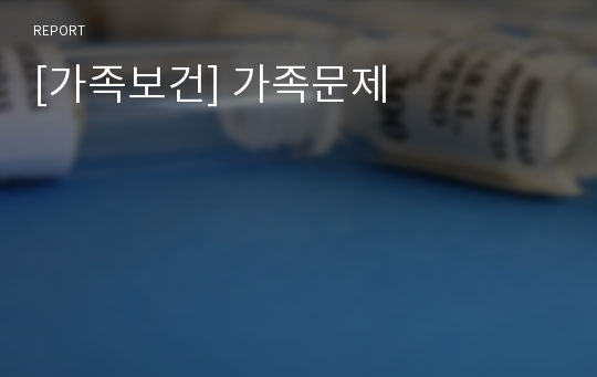 [가족보건] 가족문제