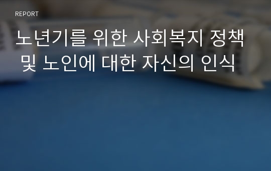 노년기를 위한 사회복지 정책 및 노인에 대한 자신의 인식