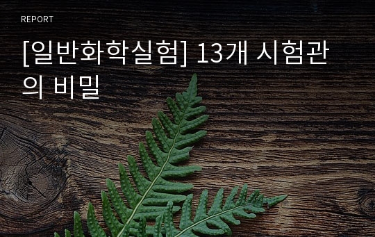 [일반화학실험] 13개 시험관의 비밀