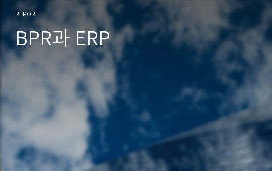 BPR과 ERP