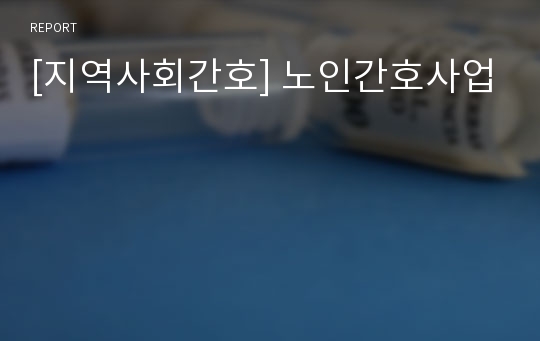 [지역사회간호] 노인간호사업