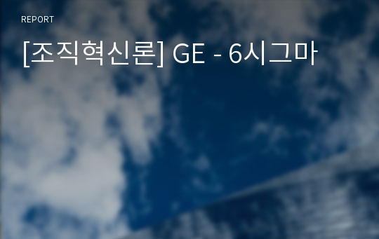 [조직혁신론] GE - 6시그마