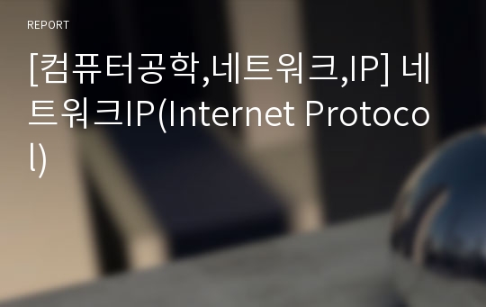 [컴퓨터공학,네트워크,IP] 네트워크IP(Internet Protocol)
