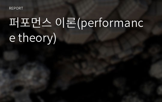 퍼포먼스 이론(performance theory)