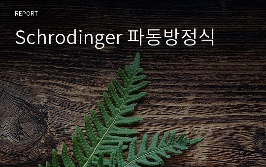 Schrodinger 파동방정식