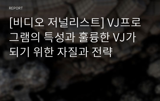 [비디오 저널리스트] VJ프로그램의 특성과 훌륭한 VJ가 되기 위한 자질과 전략