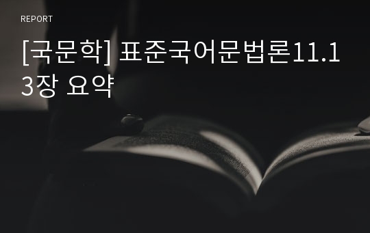 [국문학] 표준국어문법론11.13장 요약