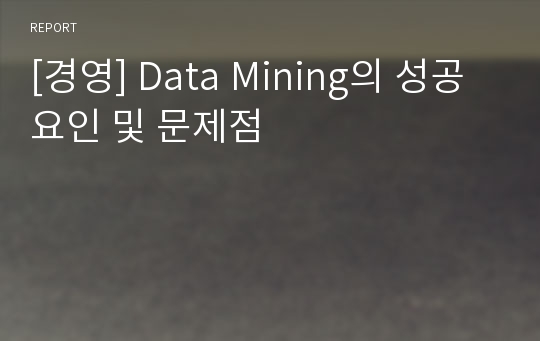 [경영] Data Mining의 성공요인 및 문제점