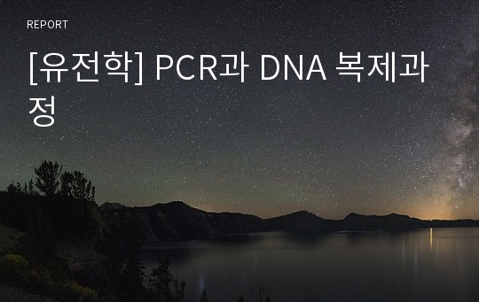 [유전학] PCR과 DNA 복제과정