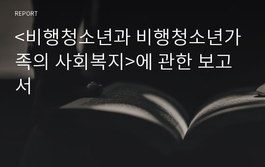 &lt;비행청소년과 비행청소년가족의 사회복지&gt;에 관한 보고서