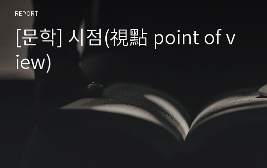 [문학] 시점(視點 point of view)