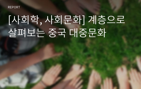 [사회학, 사회문화] 계층으로 살펴보는 중국 대중문화