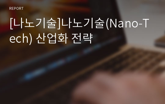 [나노기술]나노기술(Nano-Tech) 산업화 전략