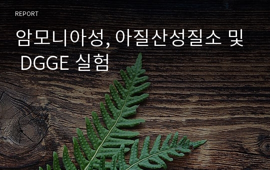 암모니아성, 아질산성질소 및 DGGE 실험