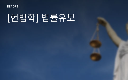 [헌법학] 법률유보
