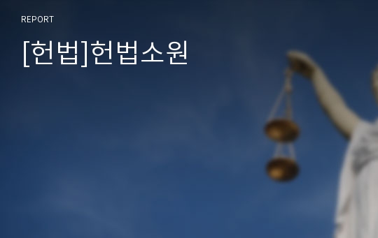 [헌법]헌법소원