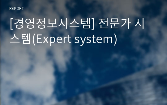 [경영정보시스템] 전문가 시스템(Expert system)