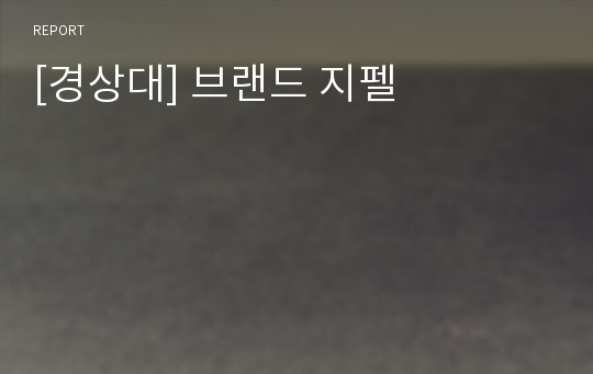 [경상대] 브랜드 지펠