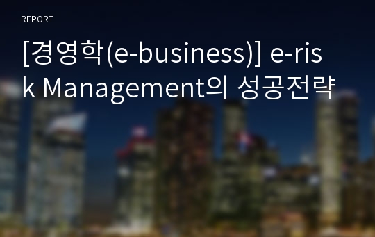 [경영학(e-business)] e-risk Management의 성공전략