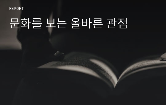 문화를 보는 올바른 관점