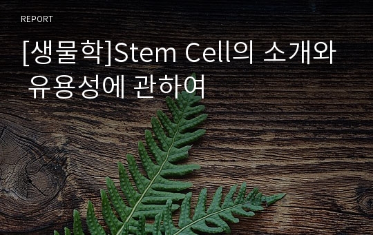 [생물학]Stem Cell의 소개와 유용성에 관하여