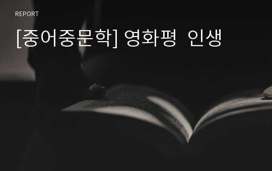 [중어중문학] 영화평  인생