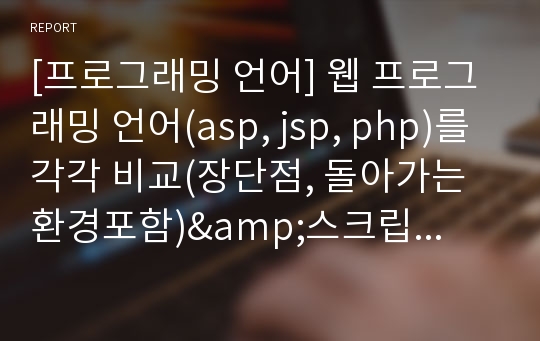 [프로그래밍 언어] 웹 프로그래밍 언어(asp, jsp, php)를 각각 비교(장단점, 돌아가는 환경포함)&amp;스크립트 언어에 대한 짧은 단문