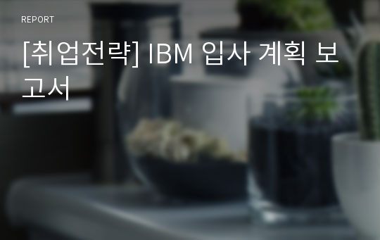 [취업전략] IBM 입사 계획 보고서