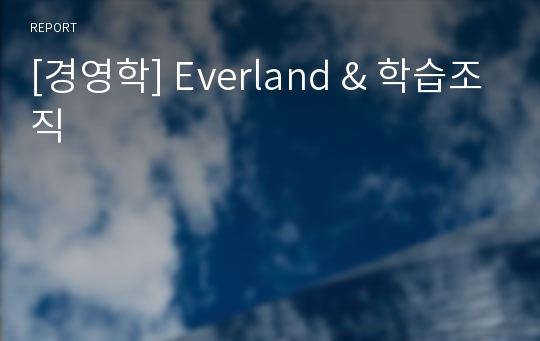 [경영학] Everland &amp; 학습조직