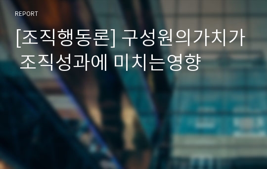 [조직행동론] 구성원의가치가 조직성과에 미치는영향