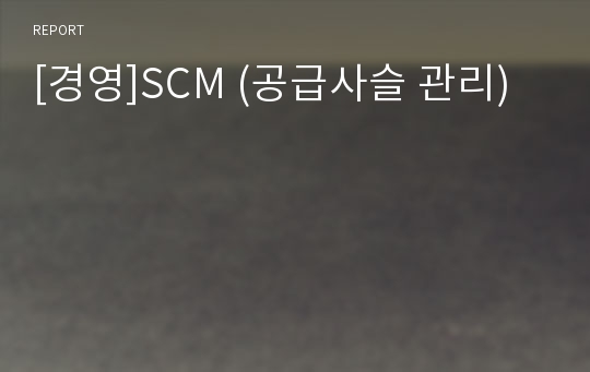 [경영]SCM (공급사슬 관리)