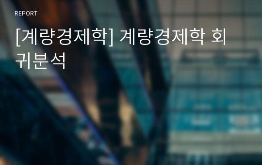 [계량경제학] 계량경제학 회귀분석