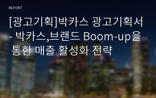 [광고기획]박카스 광고기획서- 박카스,브랜드 Boom-up을 통한 매출 활성화 전략