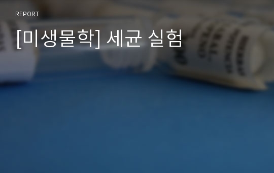 [미생물학] 세균 실험