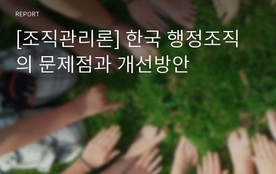 [조직관리론] 한국 행정조직의 문제점과 개선방안
