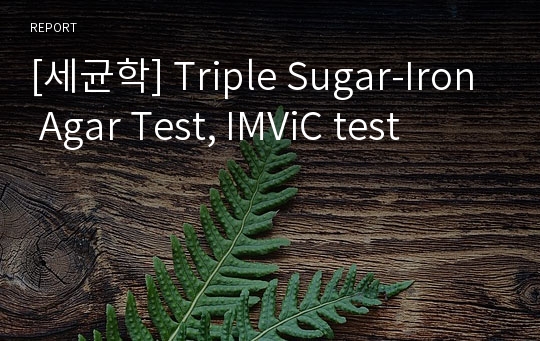 [세균학] Triple Sugar-Iron Agar Test, IMViC test