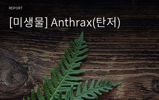 [미생물] Anthrax(탄저)