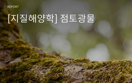 [지질해양학] 점토광물