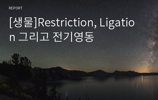 [생물]Restriction, Ligation 그리고 전기영동