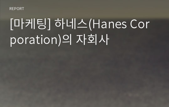 [마케팅] 하네스(Hanes Corporation)의 자회사