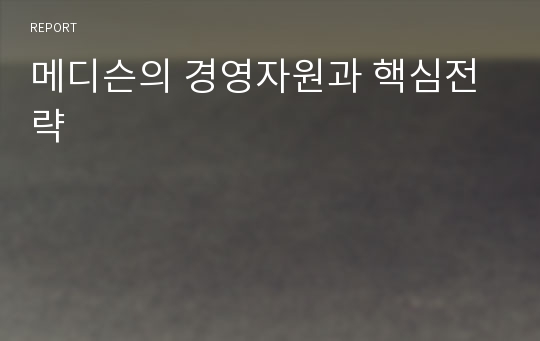 메디슨의 경영자원과 핵심전략