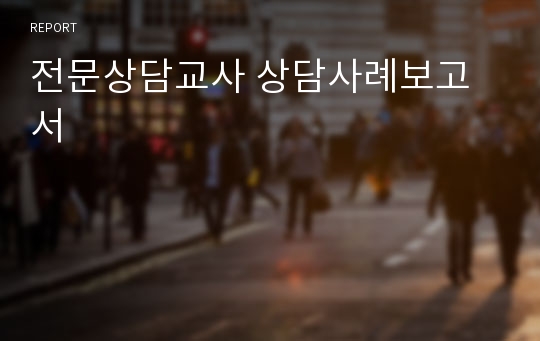 전문상담교사 상담사례보고서