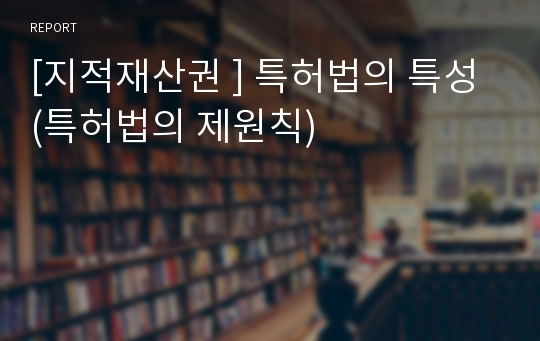 [지적재산권 ] 특허법의 특성 (특허법의 제원칙)