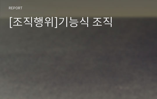 [조직행위]기능식 조직